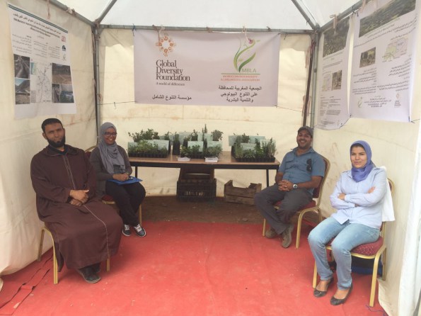 Festival season in the High Atlas – engaging with communities on conservation and traditional plant knowledge