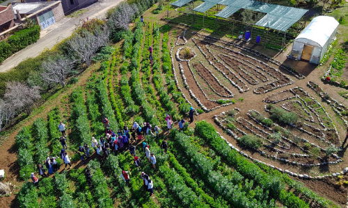 School Visit to Educational Botanical Garden in Dar Taliba-Ourika Valley