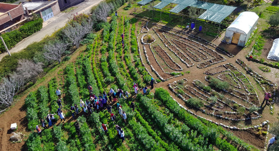 School Visit to Educational Botanical Garden in Dar Taliba-Ourika Valley