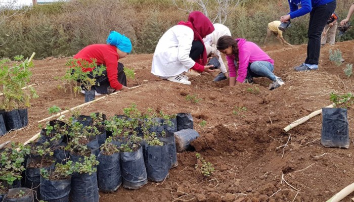 Training begins for 130 girls in conservation practices and indigenous plant knowledge