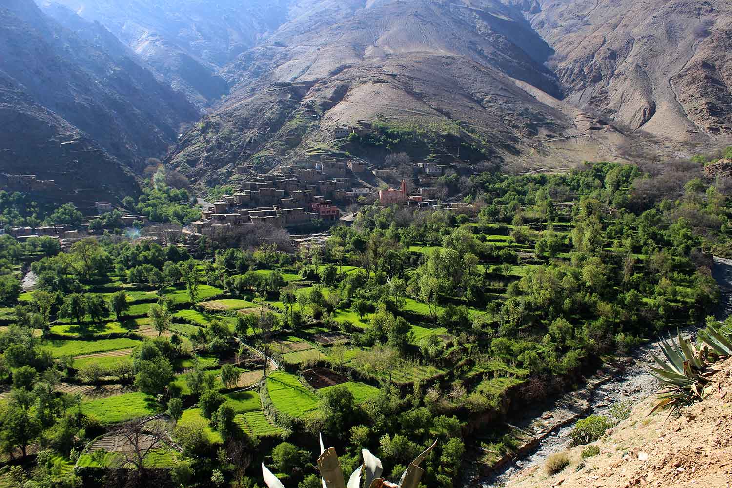 Supporting amazigh farmers for the conservation of local agrobiodiversity in the moroccan high atlas